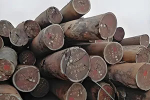 Xitoyning Sapelli yog'ochining importi o'sdi